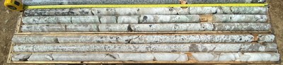 Abundant green spodumene in top core box and white and green spodumene in bottom box, last row is quartz core with coarse-grained spodumene, boxes 5 and 6, 20-29 m, PWM-22-134, Main Dyke. (CNW Group/POWER METALS CORP)
