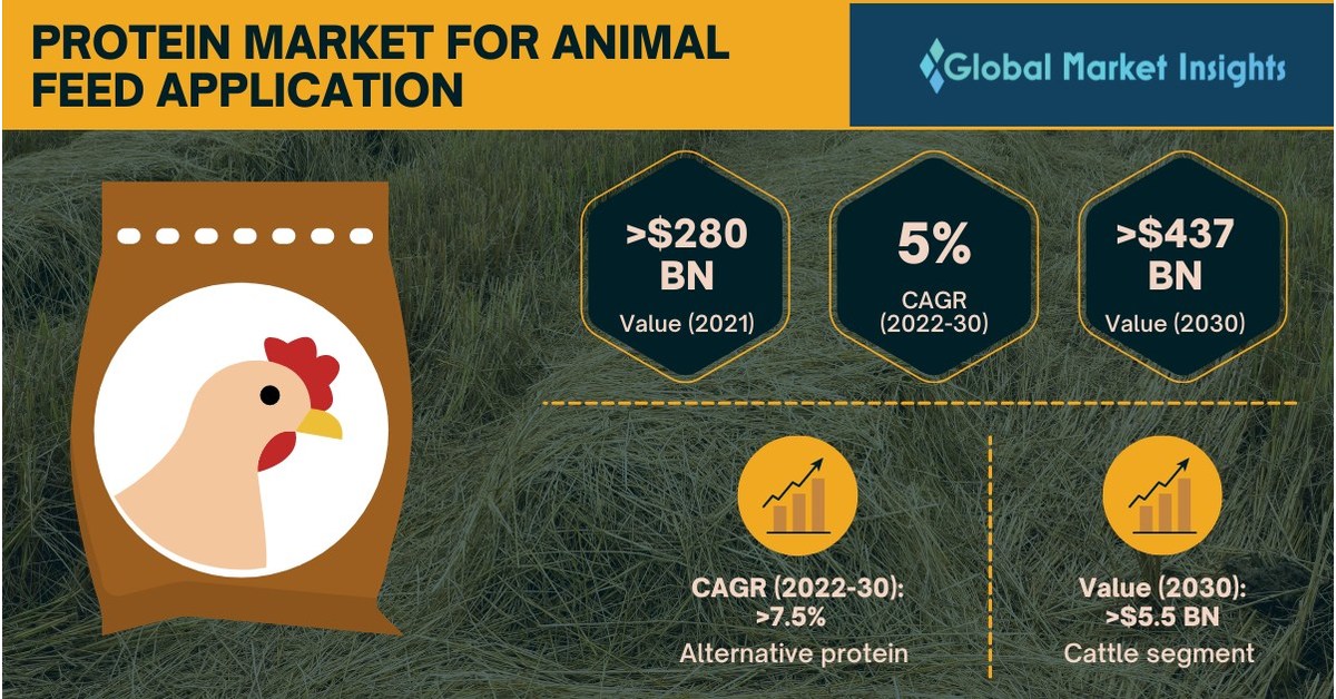 Protein Market for Animal Feed Application to exceed 437 billion by