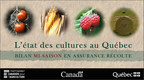 Bilan de mi-saison 2022 en assurance récolte : région du Bas-Saint-Laurent