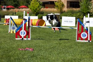 THE AKC AGILITY DOG PREMIER CUP LEAPS ONTO ESPN2