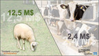 Programme d'assurance stabilisation des revenus agricoles - Une première avance de près de 15 millions de dollars versée en soutien aux producteurs d'agneaux et de veaux de grain