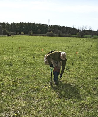 Forests Ontario 50 Million Tree Program partner Grand River Conservation Authority, 2022 spring planting. (CNW Group/Forests Ontario)