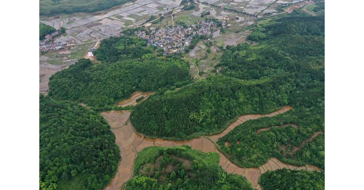 CCTV+: La cultura del arroz en el condado de Wannian