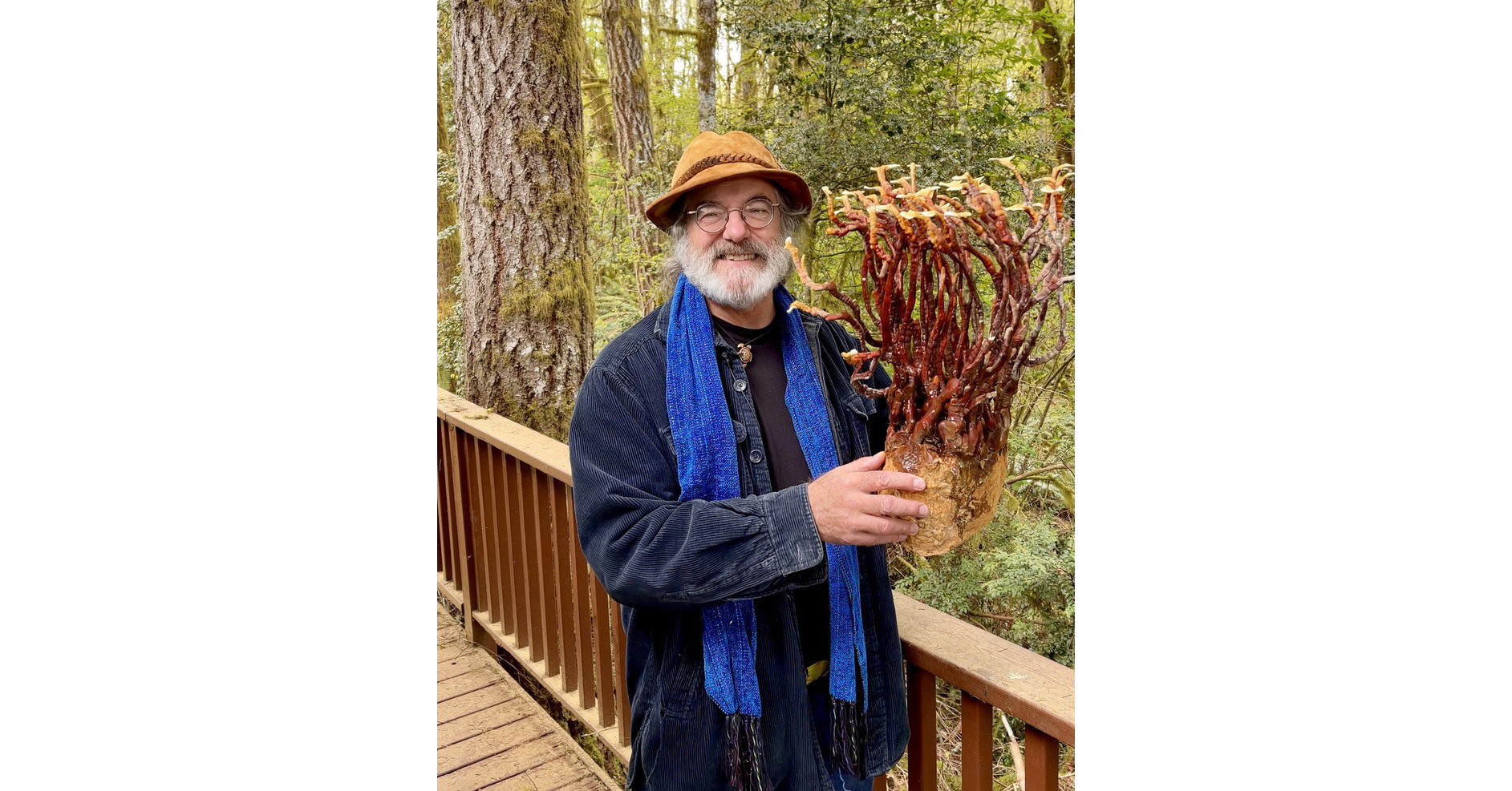 Fungi Perfecti is on TikTok!