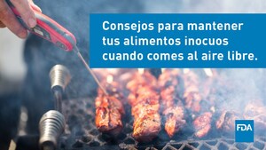 La inocuidad alimentaria de las comidas al aire libre