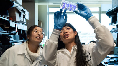 Gladstone Graduate Student Irene Chen (right) is first author of a new study showing that BET proteins both enable and fight off COVID-19. Shown here in the lab with Tongcui Ma (left). Photo: Michael Short/Gladstone Institutes