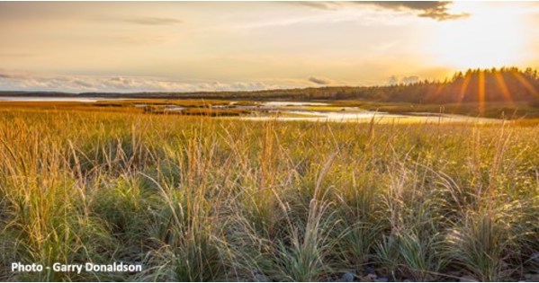 Government of Canada designates Big Glace Bay Lake as the newest National Wildlife Area - Vimarsana News