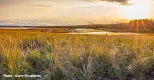 Government of Canada designates Big Glace Bay Lake as the newest National Wildlife Area