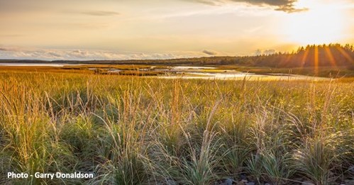 Government of Canada designates Big Glace Bay Lake as the newest ...