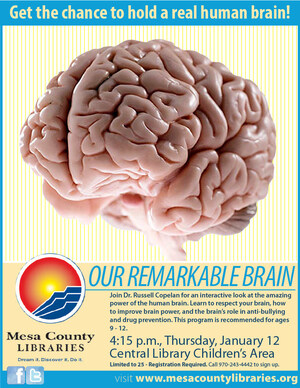 EMED Logic, Inc. and its Partner Synaptic Youth© Pioneer Efforts to Educate Children on the Effects of Drug Abuse