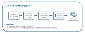 BridgeBio Pharma and Sentynl Therapeutics Receive Positive CHMP Opinion for NULIBRY® (fosdenopterin) for the Treatment of MoCD Type A