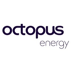 Octopus Energy Group completes fundraise with existing investors, totalling US$550m