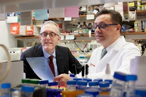 Dr. Jedd Wolchok Appointed Meyer Director of the Sandra and Edward Meyer Cancer Center at Weill Cornell Medicine
