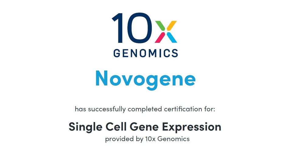 Novogene America Launches a New Single-Cell Lab in San Jose. CA, Based on Chromium Platform Powered by 10x Genomics® - Vimarsana News