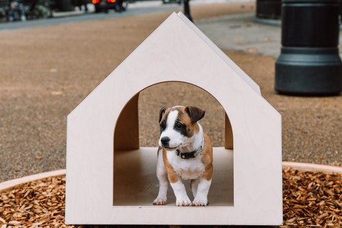 ジャパン・ハウス・ロンドンのArchitecture Dog Showに着想を得て、ポップアップイベントがロンドン各地で開催されます。  Copyright Holly Farrier (PRNewsfoto / ジャパン・ハウス・ロンドン)