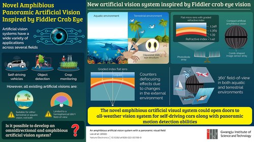 Researchers from Gwangju Institute of Science and Technology in Korea have developed, in a new study, an artificial vision system modeled after the fiddler crab eye structure, which is suitable for both land and underwater environments, and provides a panoramic imaging ability.