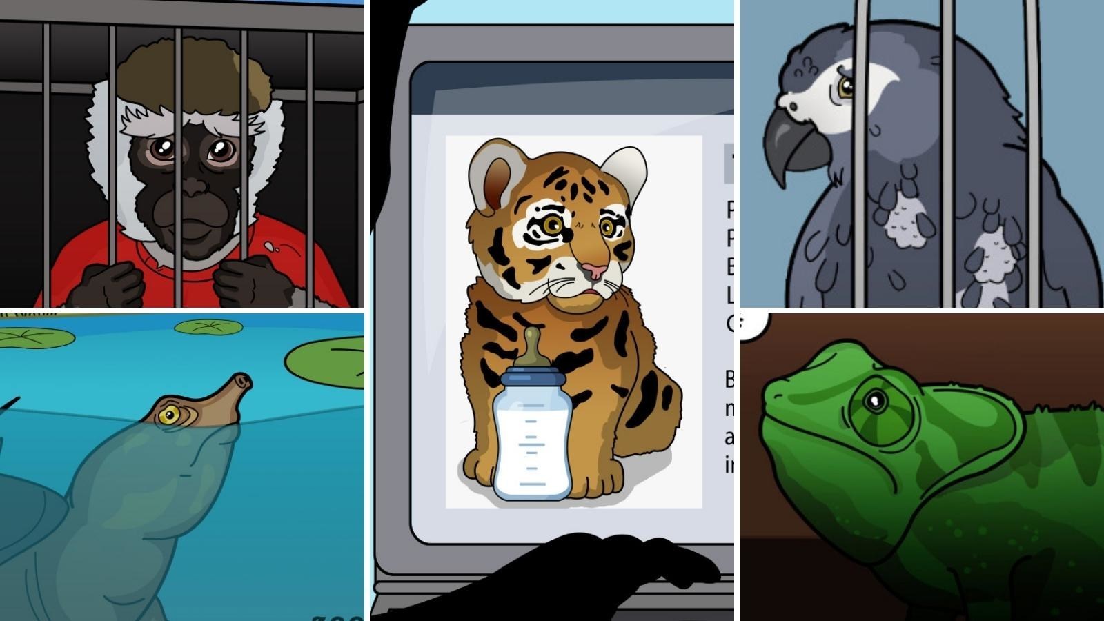 Unable to view the image, Please provide a valid URL.