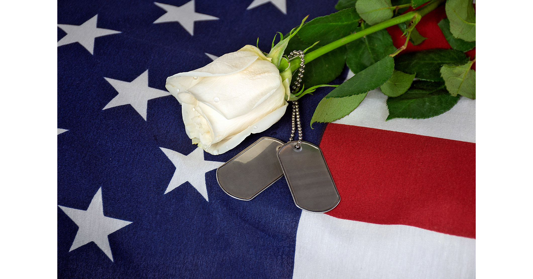 SERVICE CORPORATION INTERNATIONAL RENEWS PARTNERSHIP WITH TAPS