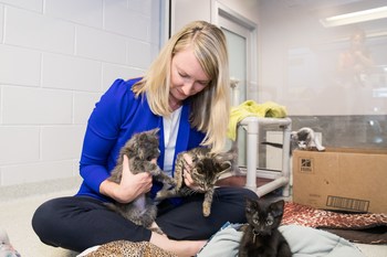 Dr. Karen Shenoy, Chief Veterinary Officer for Hill’s US, plays with adoptable kittens at Dumb Friends League, an animal shelter participating in NBCUniversal Local’s Clear The Shelters campaign.