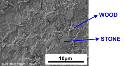 Scanning Electron Microscope Observation of 100% Nature Biomass Biodegradable Thermoplastic Materials from Wood, Stone and Natural Deep Eutectic Solvent
