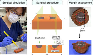 Study: Plant-Based Synthetic Organs Prove Effective for Fluorescence-Guided Surgical Training