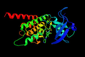 Alercell® to Distribute AmoyDx® Ros1 Gene Fusion Detection Kit