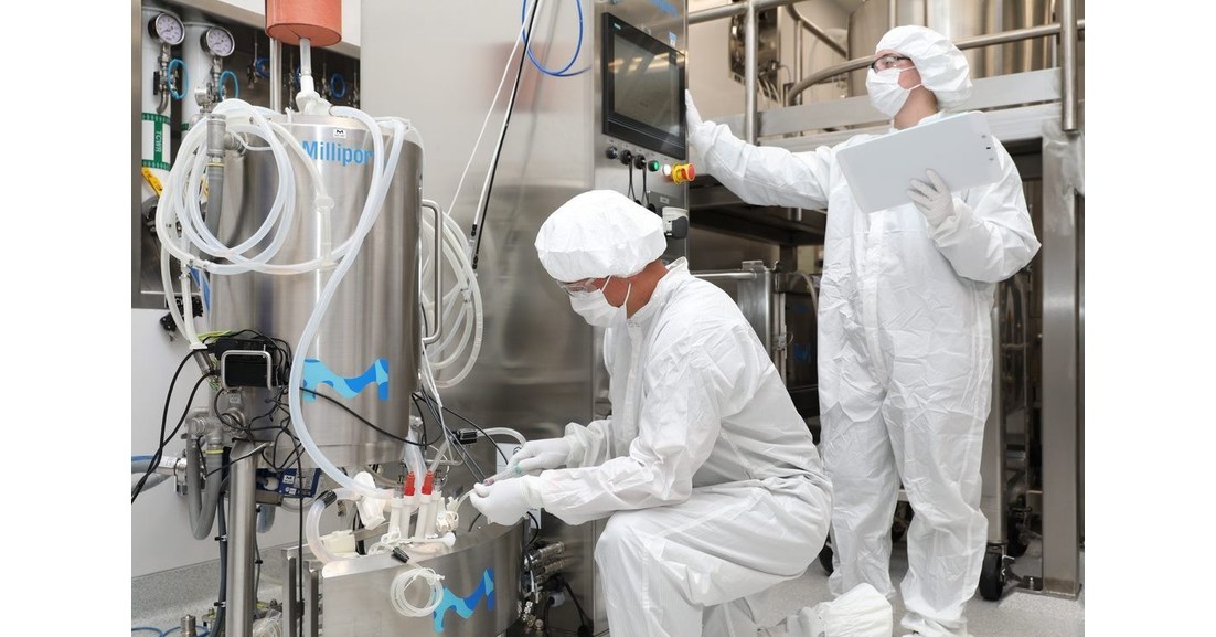 Merck torna-se uma das primeiras CDMOs a fornecer uma oferta completa de vetores virais com lan&ccedil;amento da plataforma de produ&ccedil;&atilde;o de v&iacute;rus adeno-associado VirusExpress&reg; 293
