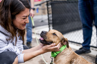 Petco Love, BOBS from Skechers, and several Houston, Tex.-based animal welfare organizations are teaming up for a mega adoption event, Saturday, Sept. 3, and Sunday, Sept. 4 in Houston.