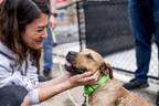 Petco Love and BOBS from Skechers Host Mega Adoption Event to Find Homes for 1000+ Pets in Need