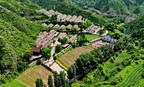 El condado de Lingqiu considera la agricultura orgánica como forma eficaz de promover el desarrollo rural
