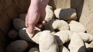 McDonald's Canada and McCain Foods partner to launch the $1M Future of Potato Farming Fund to help improve soil health through regenerative farming practices