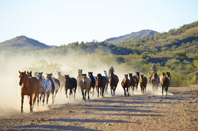 Horseback Riding, Rancho de los Caballeros Ranch & Golf Club, Arizona