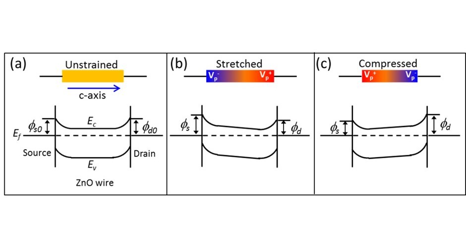 NCKU Researchers Develop the First Dual-mode Piezotronics-based Force Sensor