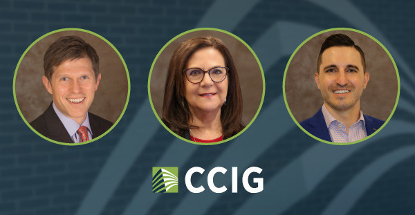 CCIG announces major investment in private client service - Vimarsana News