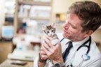 TAG - The Aspen Group to Acquire AZPetVet - A Group of 22 Veterinary Hospitals in the Phoenix Area