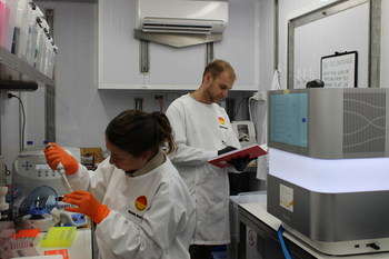 As part of this extensive research and development partnership, the Minderoo Foundation installed a NextSeq™ 2000 sequencing system, one of Illumina's most advanced high-throughput benchtop DNA sequencers, aboard its vessel. of research.