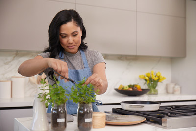 Back to the Roots - Ayesha Curry
