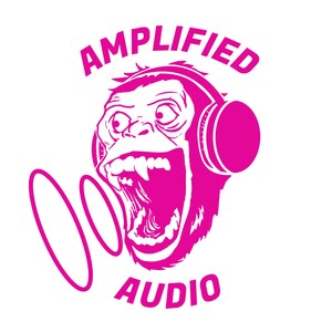 Amplified Audio Debuts to Promote Niche Podcast Voices and Cultivate Loyal Communities