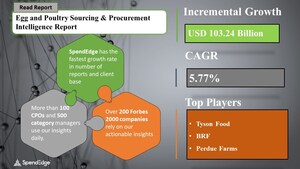 "Egg and Poultry Sourcing and Procurement Market Report" Reveals that this Market will have a Growth of USD 103.24 Billion by 2026