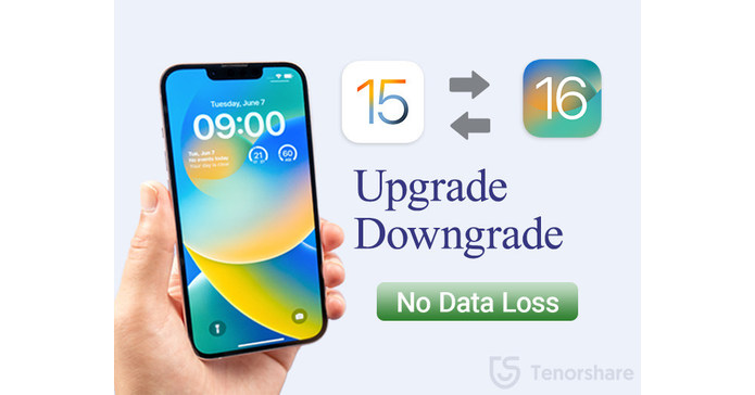 Tenorshare New---Upgrade and Downgrade iOS 16 without Losing Data