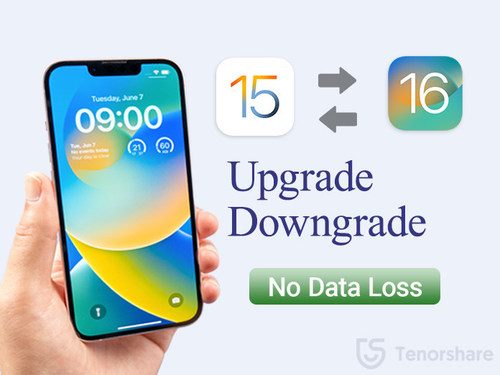 Tenorshare iOS 16 upgrade/downgrade solution