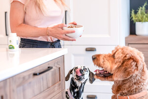 Meet Zumalka: Your Pet's New Best Friend