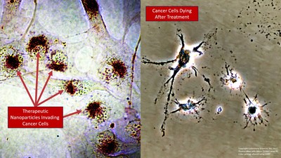 Left: Cytimmune's therapeutic nanoparticles (red) recognizing, entering, and accumulating in cancer cells. Right: Interferon gamma and tumor necrosis factor alpha delivered in combination on a gold nanoparticle (CYT-IFNg-TNFa) kill cancer cells at doses 100-fold lower than the corresponding native cytokines. Due to this increase in potency Cytimmune scientists believe CYT-IFNg-TNFa could be an effective direct cancer killing agent in addition to a potent immunotherapy.