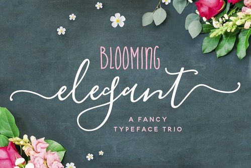 Blooming Elegant, created by renowned graphic artist and designer Nicky Laatz, which was a top selling font for Zazzle, is at the center of the alleged fraud by the company.