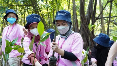 (Image) KT&G Employees and Volunteers Conducting Mangrove Planting Volunteer Work