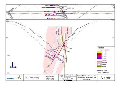 Figure 4: Section 700487 showing holes NKDD22-080 and NKDD2-081 (CNW Group/Galiano Gold Inc.)