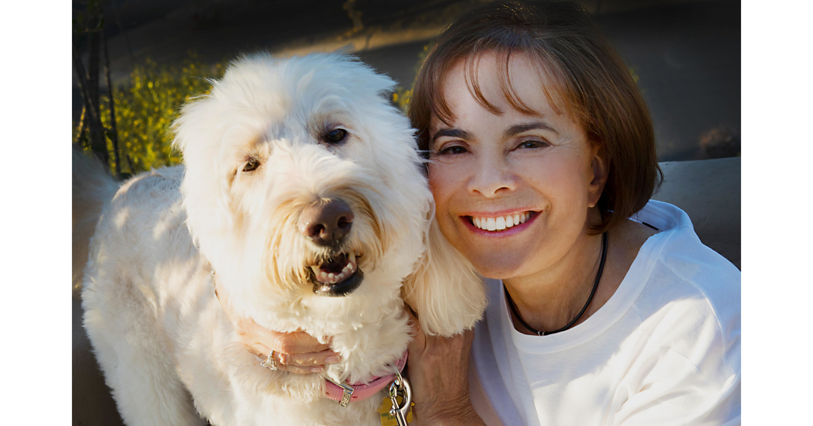 Still #1 - Joan Levinson Repeats as Arizona's Top Individual Real ...