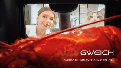 GWEICH visual air fryer