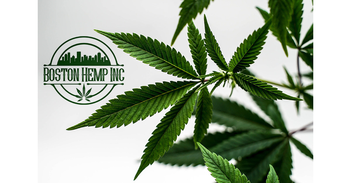 Boston Hemp Inc. announces the expansion of their wholesale division to include territories nationwide.