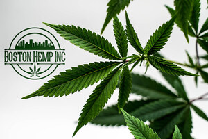 Boston Hemp Inc. announces the expansion of their wholesale division to include territories nationwide.
